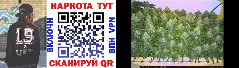 Цена Щигры Cocaine гидра сайт A PVP ГАШ Мефедрон Каннабис