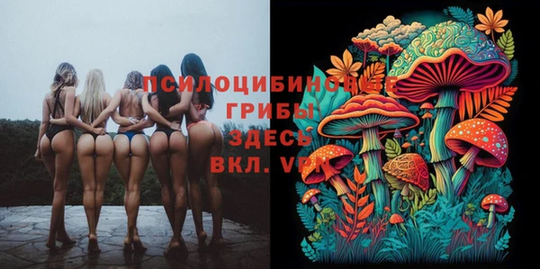 мдпв Кукмор