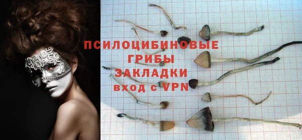 a pvp Кулебаки