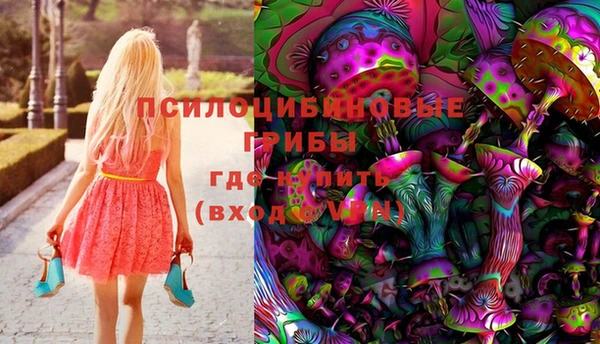 a pvp Кулебаки