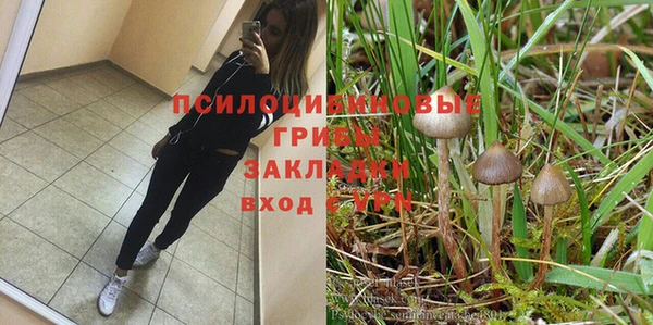 мдпв Кукмор