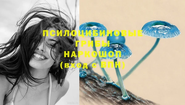 мдпв Кукмор