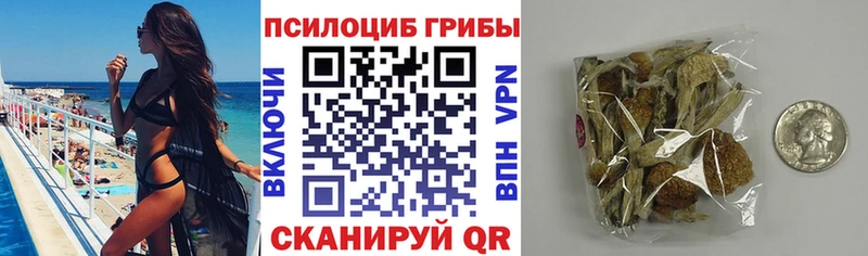 наркота  Щигры  Галлюциногенные грибы GOLDEN TEACHER 